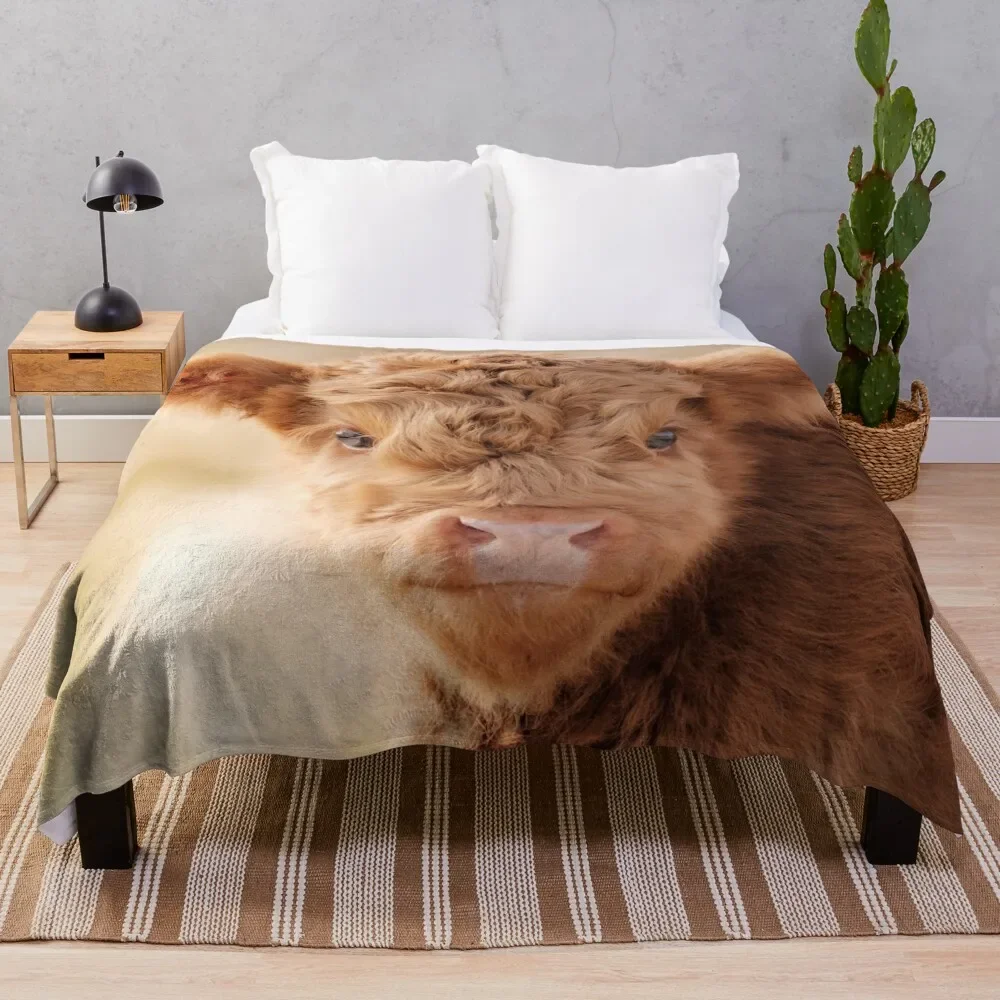 

Baby Scottish Highlander Photo Animal Photography Scottish Highland Calf Throw Blanket Plush Fuzzy Cozy Blanket for Couch Sofa