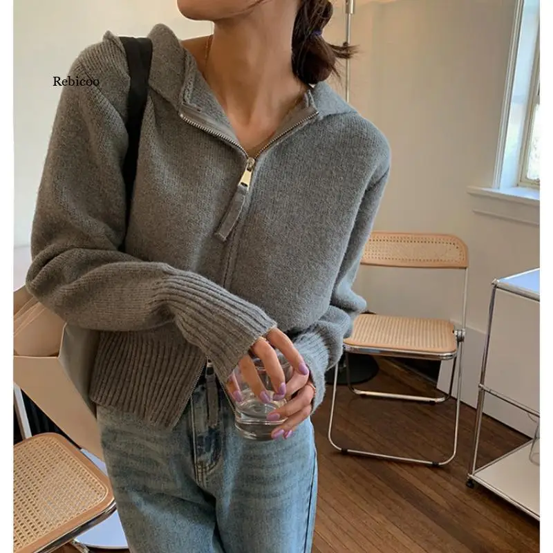 Hooded Double Zipper Sweater Women 2021 Autumn Solid Long Sleeve Short Sweaters Coat Korean Temperament Fashion Clothes