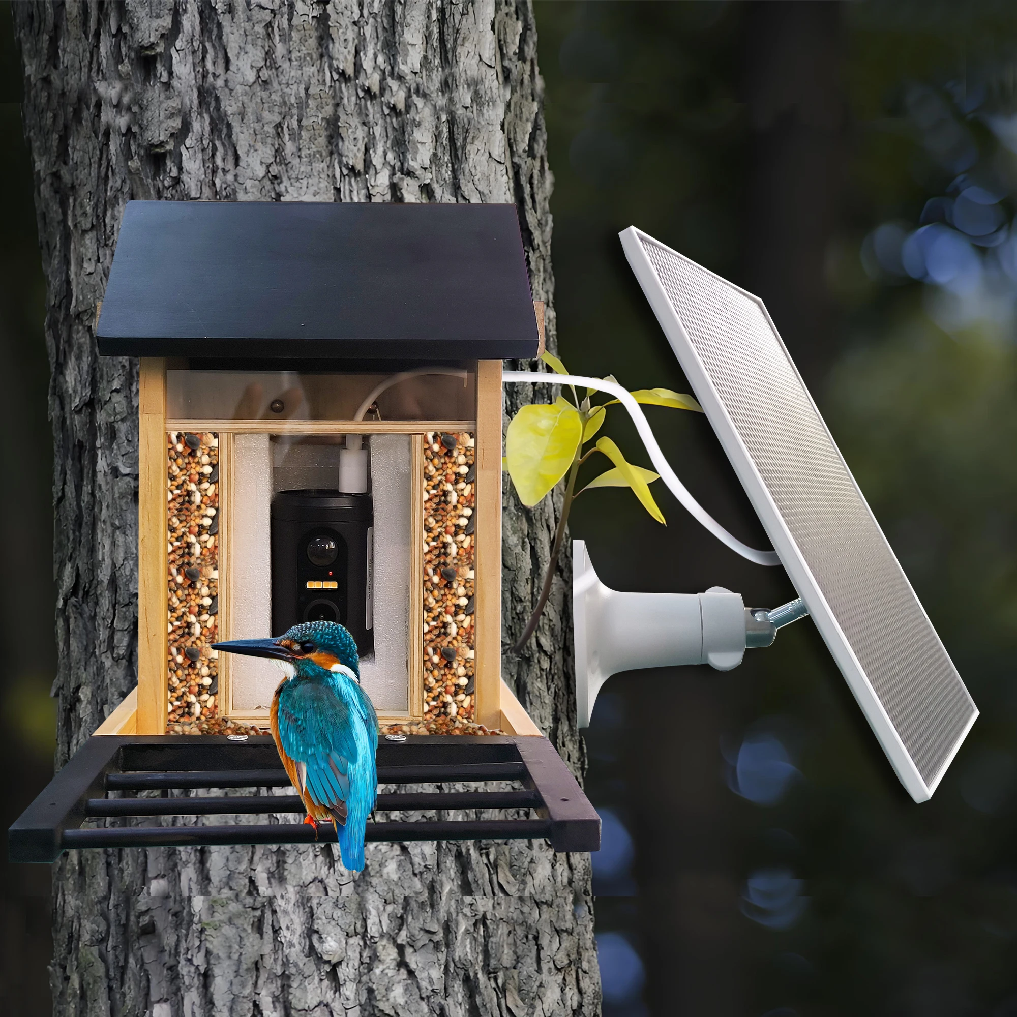 1080P Bird Feeder with HD Camera Built-in Battery Solar Low Power Night Vision Outdoor IP66 Waterproof 2.4GWIFI Connected Feeder