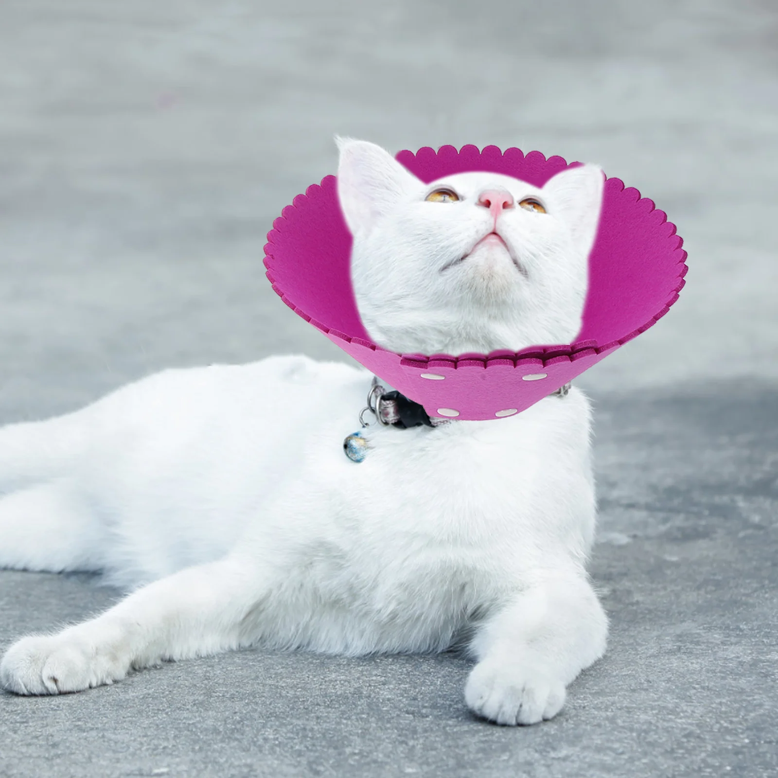 

Soft Pet Anti-Lick Collar Adjustable Size Prevent Licking Wounds Post-Surgery Recovery Protection for Dogs Cats