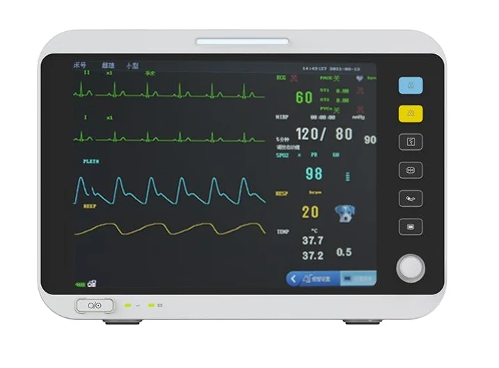 12 inch Veterinary equipment instruments Portable Animals Multiparameter Veterinary Mon-itor For Vet