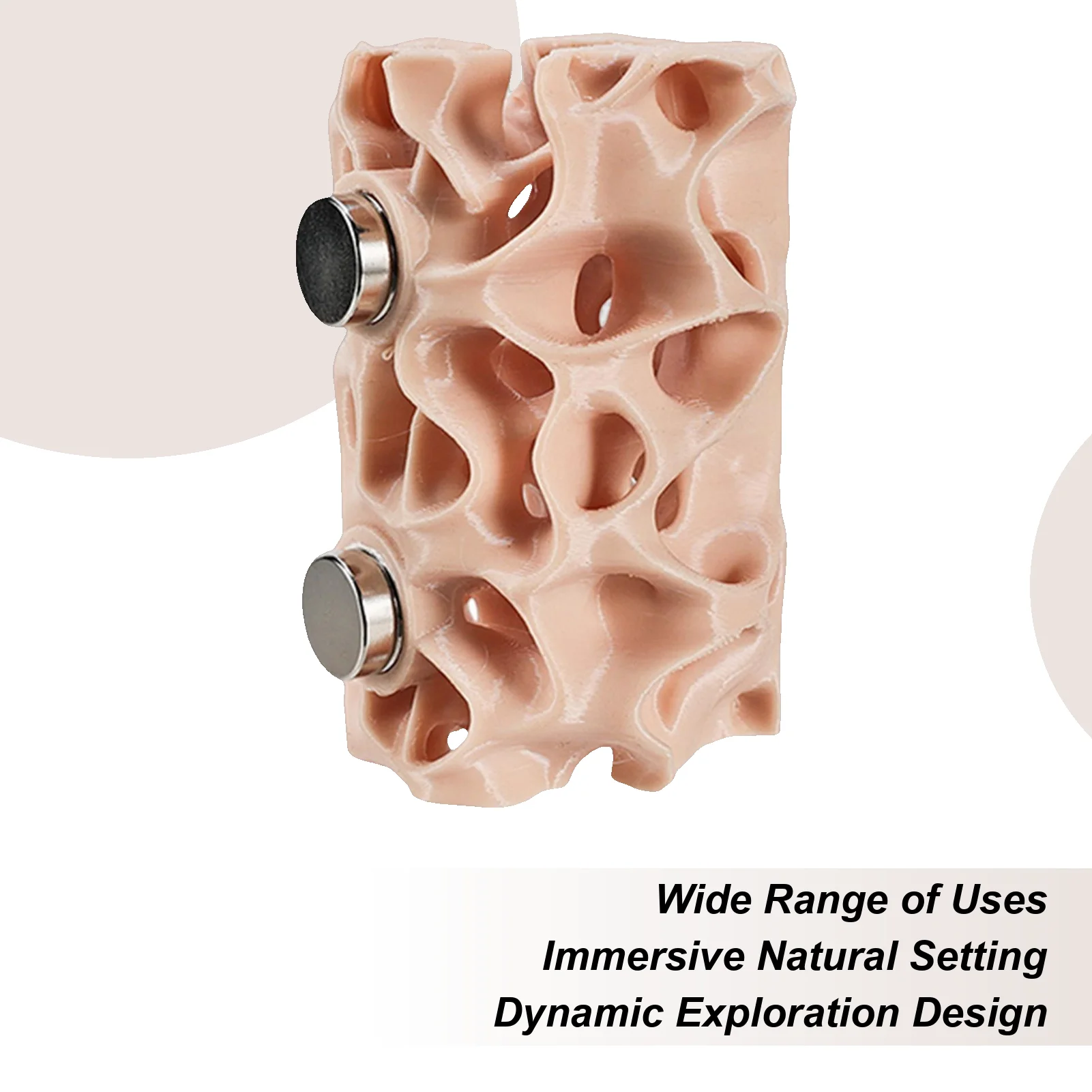 Spider Habitat Magn…