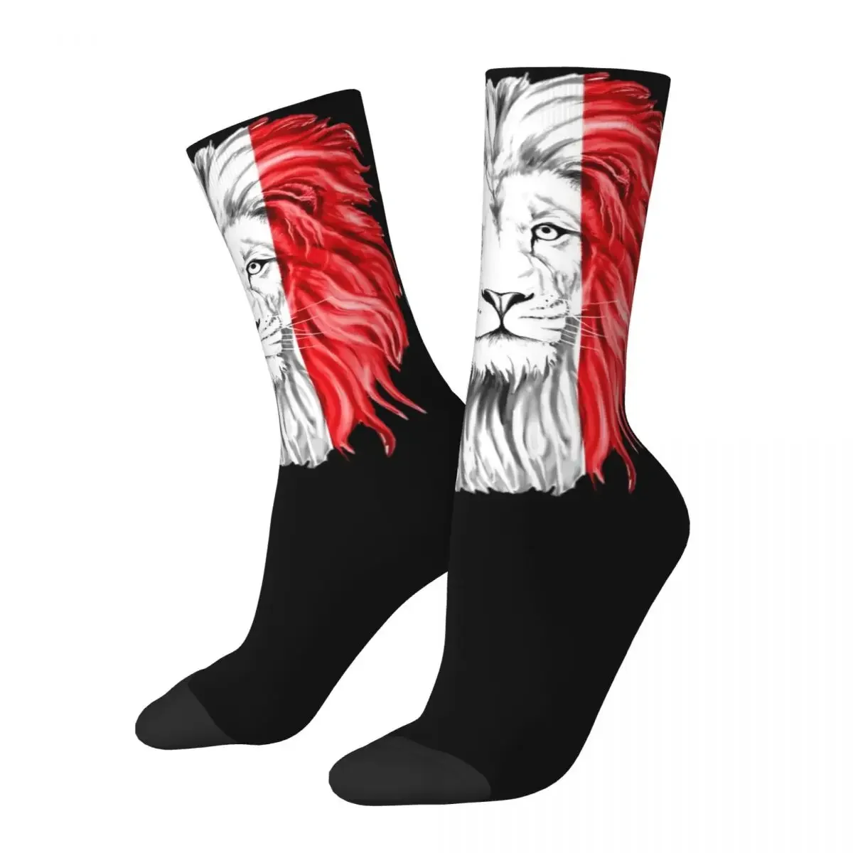 Casual Italy Flag Lion Theme Design Warm Crew Socks Accessories All Season Italiano Warm Long Socks Non-slip