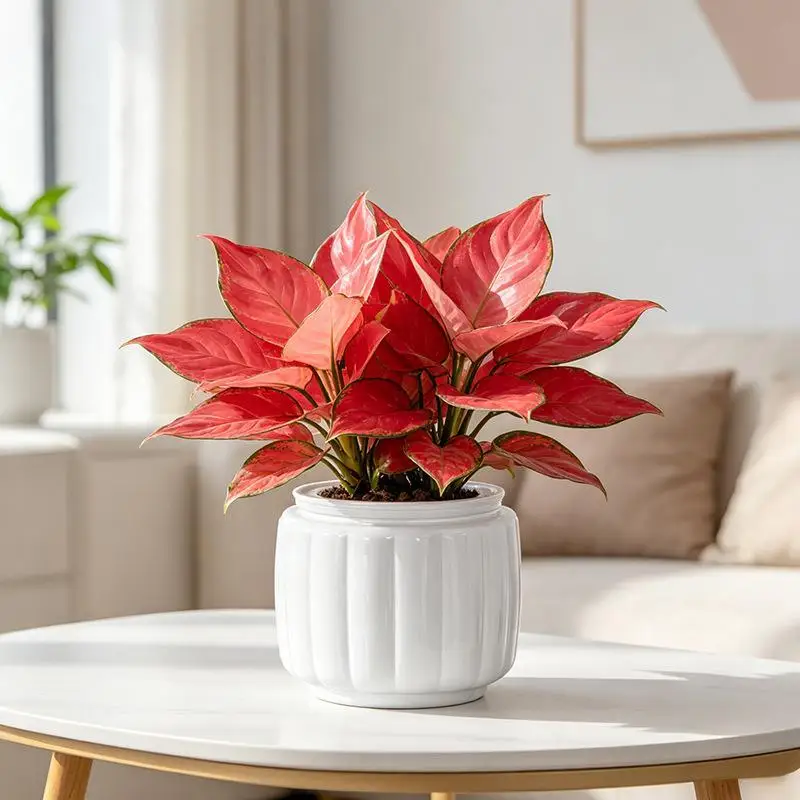 Self Watering Plant Pot, Transparent Visible Water Level Planter with Sturdy Easy-Clean Build for Home Office Windowsill Desk