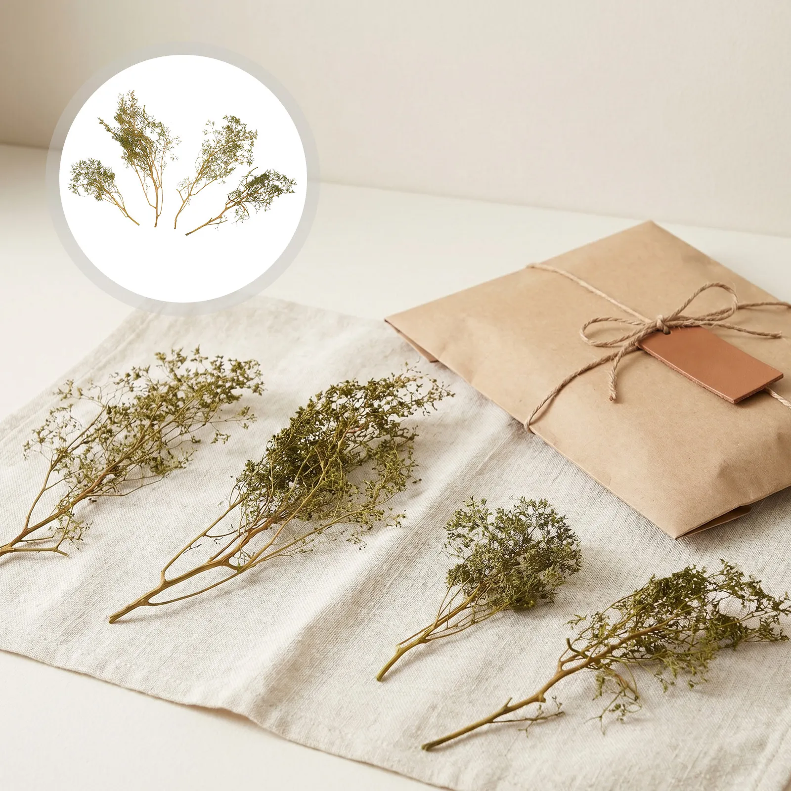 Miniature Thorn Bush Trees – Dried Plant Landscape Decor for Train Railway Scenery, Mini Garden & Craft Supplies