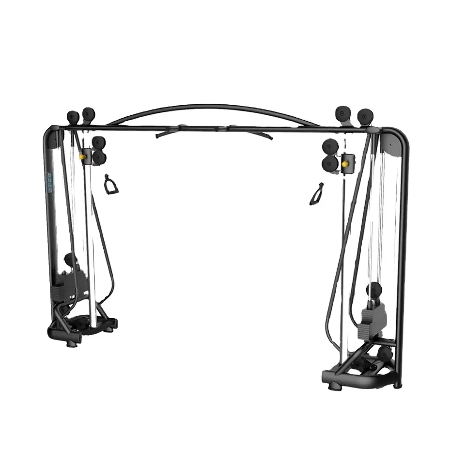 

LDLS-024 Focus on the Pectorals and Shoulders for Both Men and Women Indoor Body Building