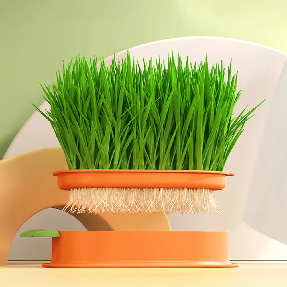 Cat Grass Box Soilless Hydroponic Catnip Planting Box Double-Layer Convenient Nursery Planter for Home Cat Plant Pot for Home,