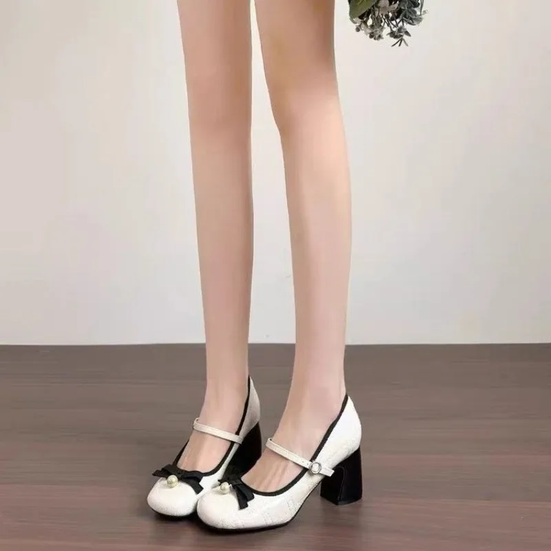 Zapatos Mary Jane de tacón de bloque franceses 2026, femeninos, de tacón alto, con lazo, de punta poco profunda