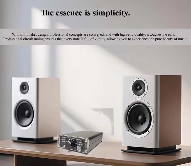 새로운 TPA3255 600W 고출력 300Wx2 스테레오 듀얼 채널 저잡음 HIFI 디지털 앰프 (케이스 포함)