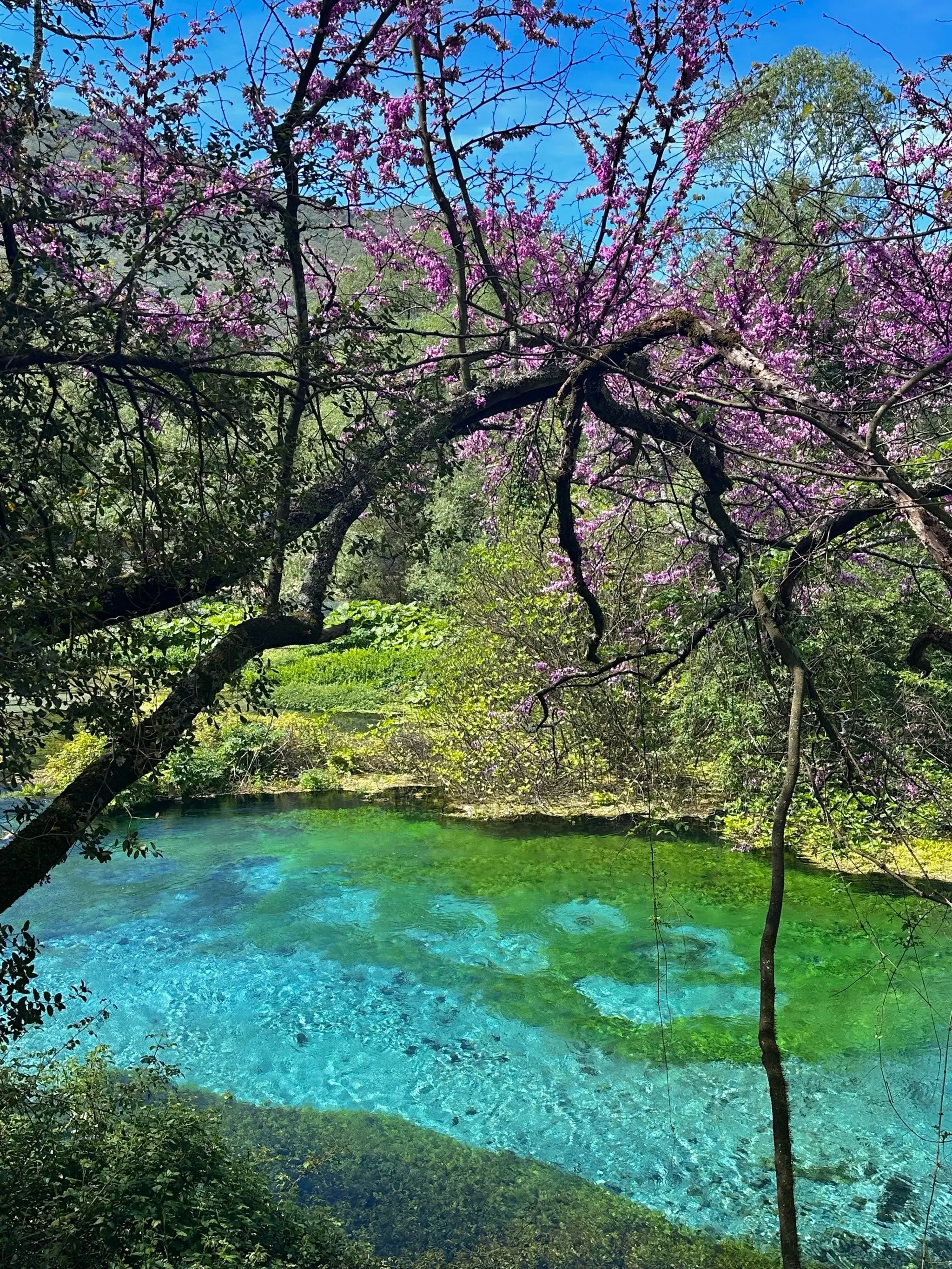 

Glass Spray Bitter 100ml Dropper Bottle Crystal Art Vintage Style Refillable Perfume Atomizer Long Tassel Spray With Air Bag