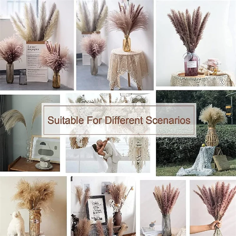 60pcs Dried Pampas Grass Decor,17\