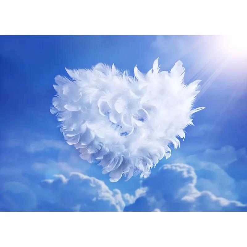 Vinyl Custom Valentine Day Photography Backdrops Prop Love Heart Rose Wooden Floor Photo Studio Background  211120 QRJJ-04