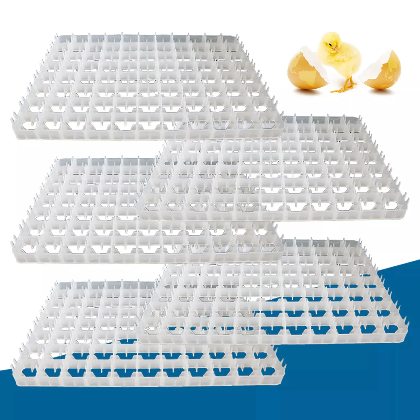 

5*Egg Hatching Incubator Trays, 88-Egg Plastic Holder for Poultry, Ducks, and Pheasants