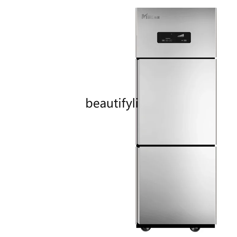 

Two-Door Refrigerator Commercial Freeze Storage Four-Door Freezer 2-Door Kitchen Large Capacity Freezer