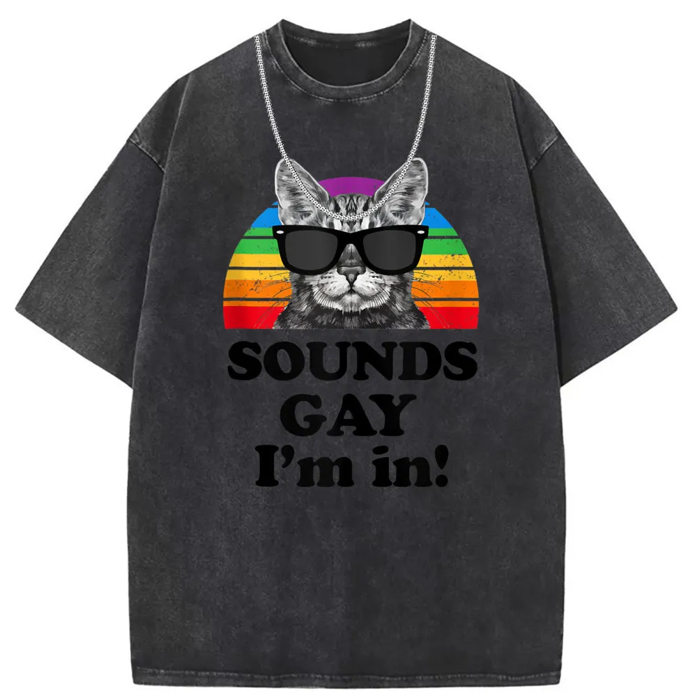 Sounds Gay Im In Cat Street Sweatshirts For Men Fall Tshirts Man Vintage Cotton Clothing Unisex Long Sleeve Funky Tee Shirts