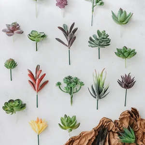 12 Main Sales Cactus - №10