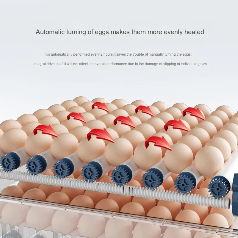 Mini Intelligent Egg Hatcher Small Household Incubator For Multiple Farm Bird Eggs