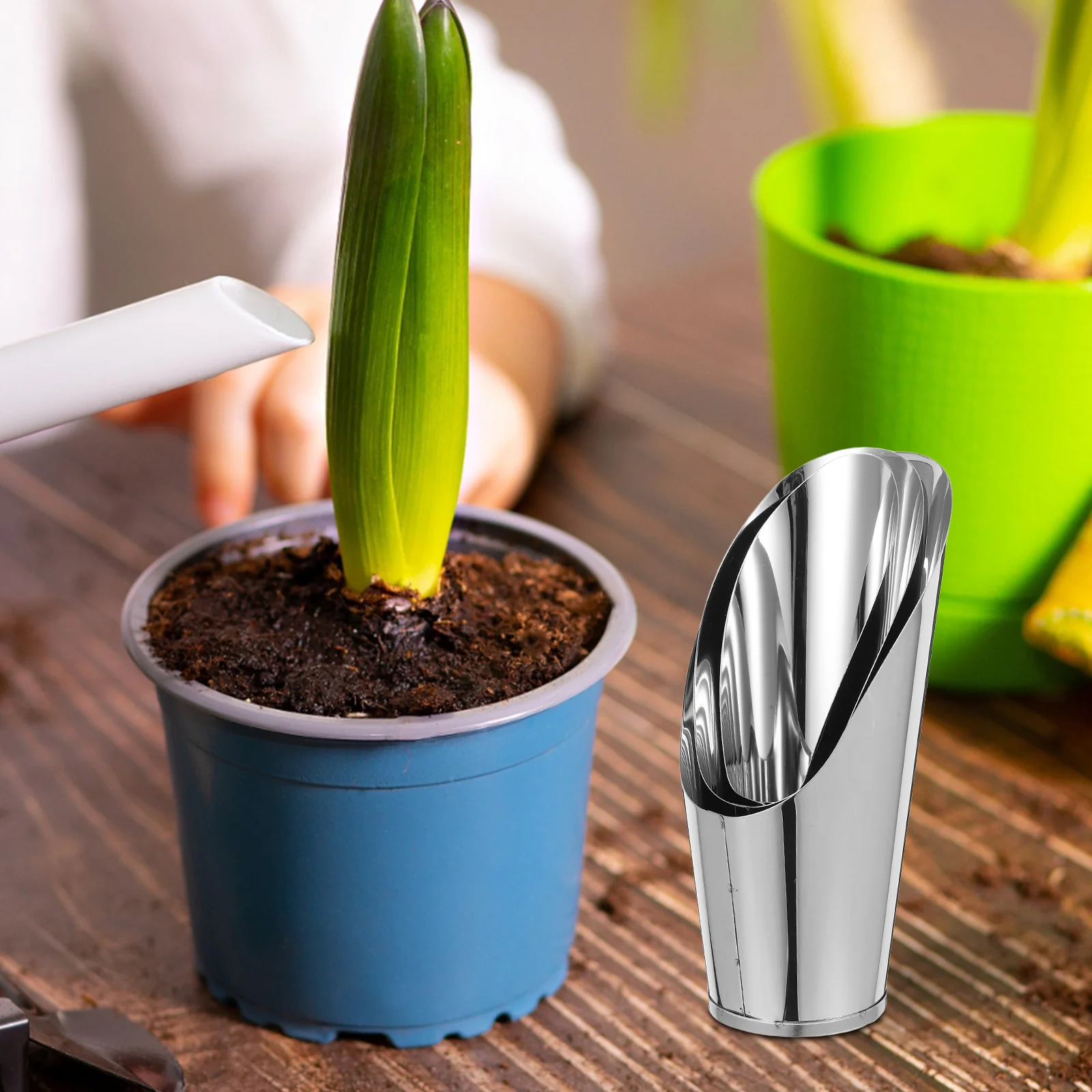 

3pcs Stainless Steel Shovel Bonsai Scoop Plant Potting Tool Silver Mirror Strong Gardening Weeding Digging Transplanting
