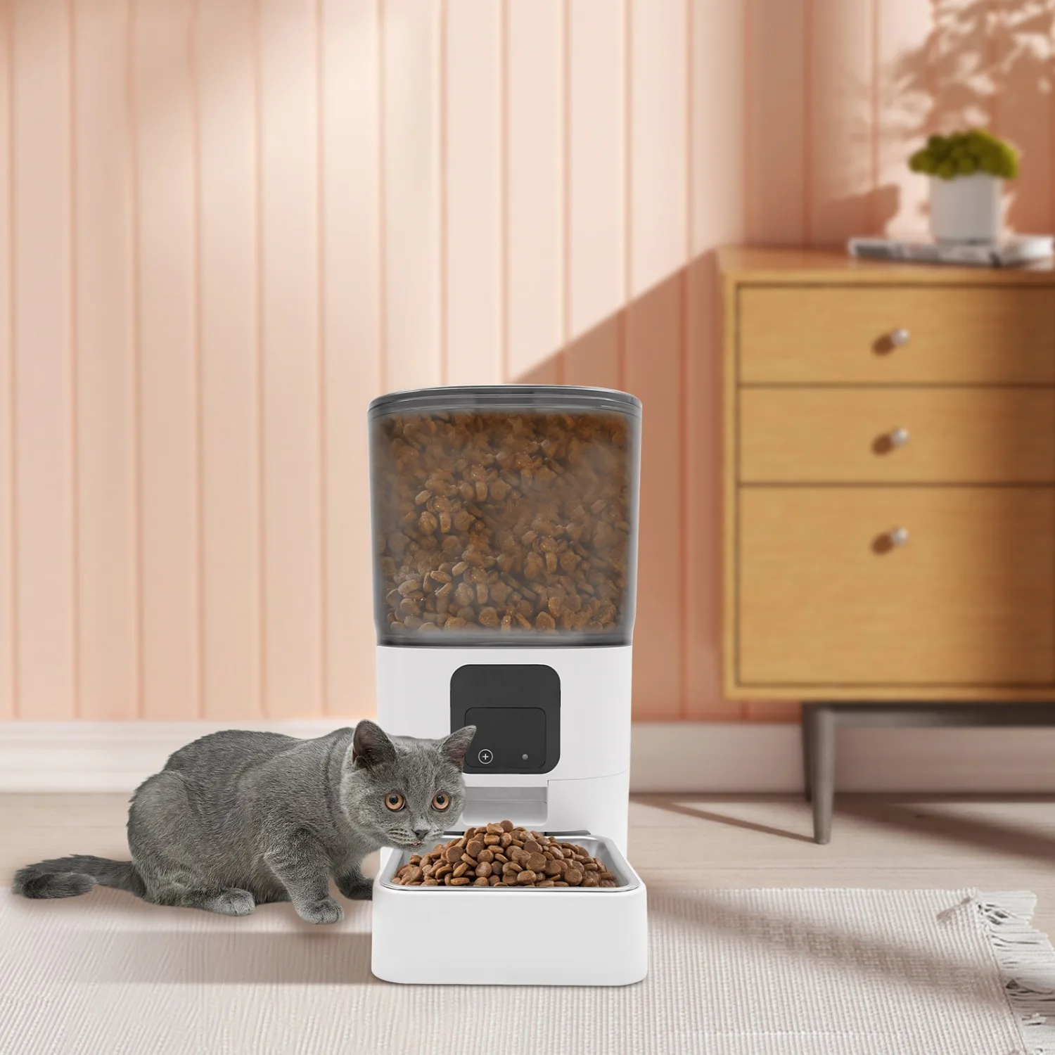 Smart Automatic Pet Food Dispenser with Mobile App Intelligent Control Mode and Touch Screen for Cats and Dogs with Dry Food