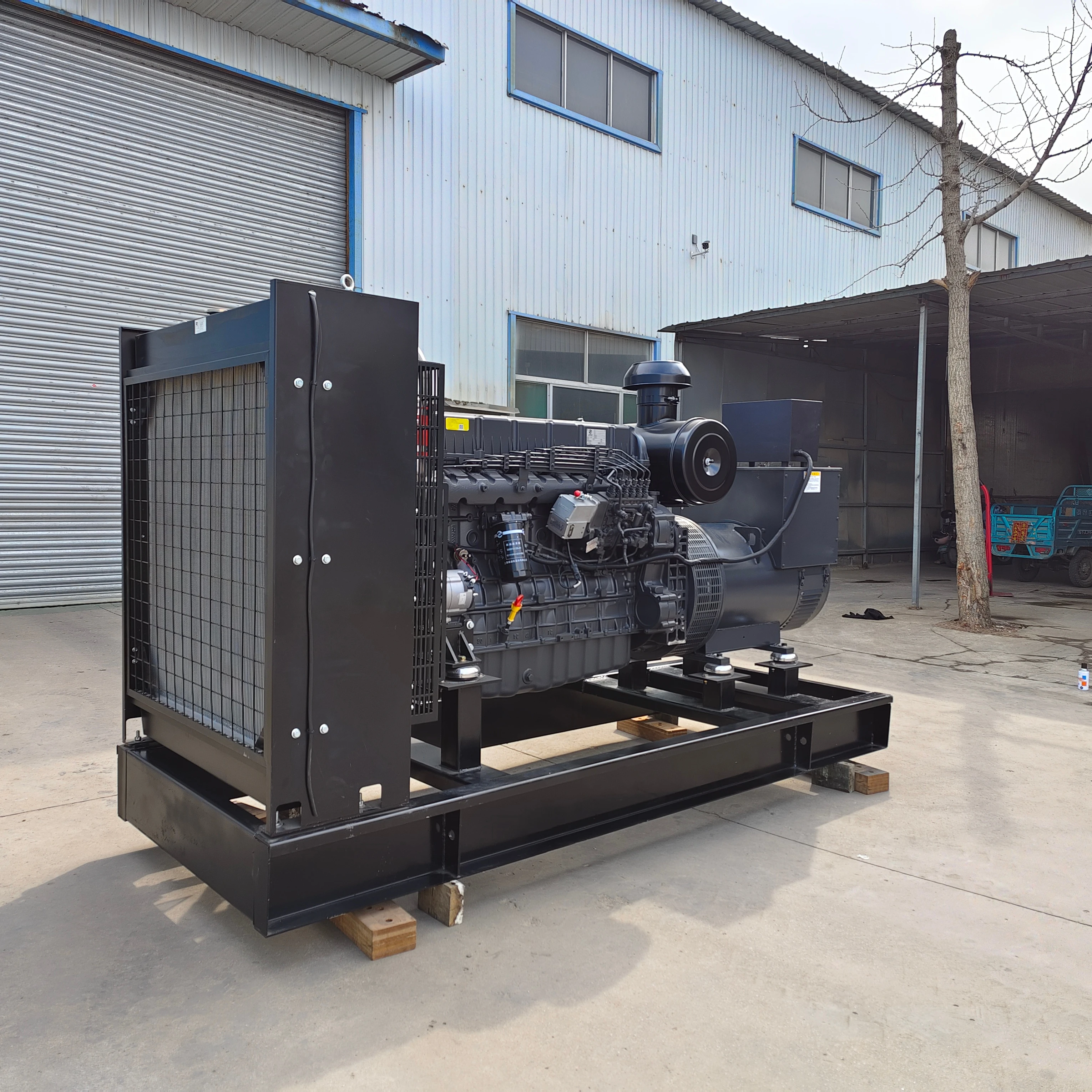 Professional Cummin…