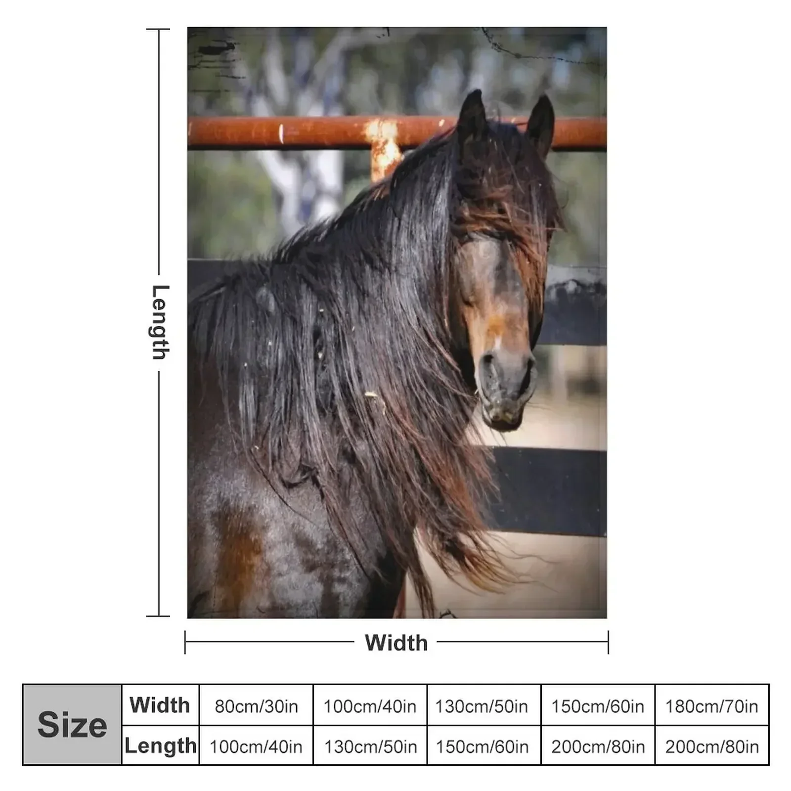 New Australian Brumby Stallion. BRUMBY. Throw Blanket Hairy Decorative Beds Personalized Gift Picnic Heavy Thins Blankets