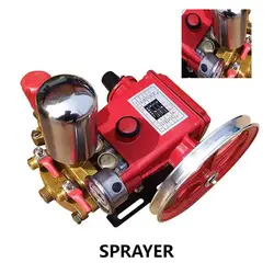 Spraying Three Cylinder Plunger Pump High Pressure Triplex Plunger Pump Agricultural Pesticide Sprayer Cleaning Machine