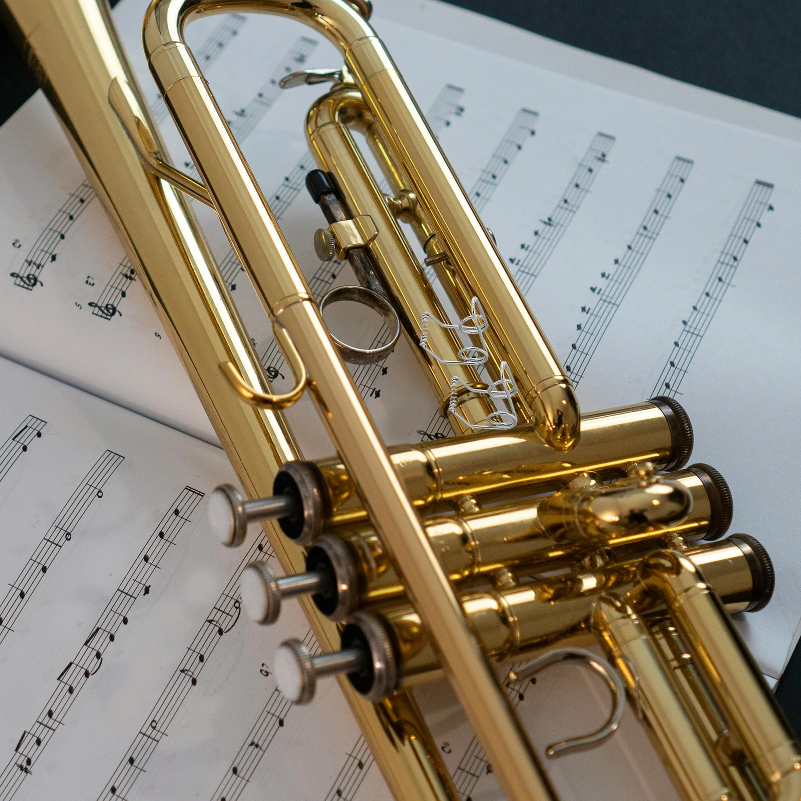

5 Pcs Brass Instrument Accessories Trumpet Draining Springs Hardware Music Accessory Parts Screw