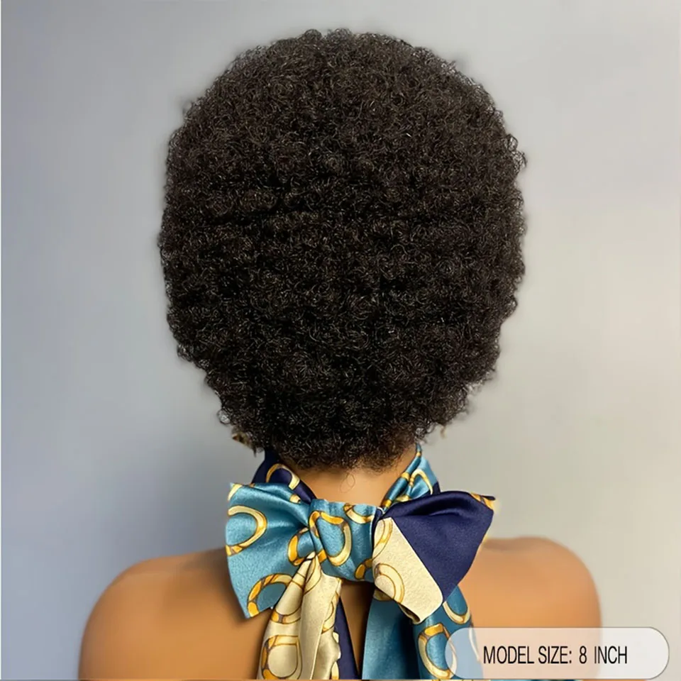 Glueless Afro Curly Wigs for Black Women Glueless Wear and Soft Black Afro Wigs Large Bouncy and Soft Natural Looking Full Wigs