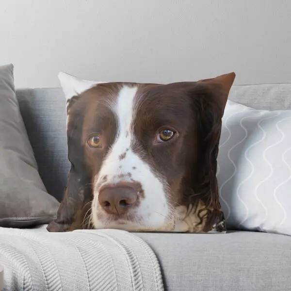 Brown And White Springer Spaniel Portrai  Printing Throw Pillow Cover Fashion Anime Bedroom Waist Pillows not include One Side