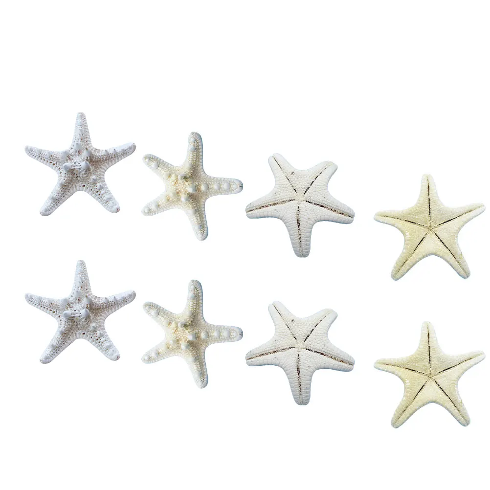 

8Pcs Genuine Sea Star Ornaments Natural Vivid Shape for Home Living Room Dining Table Decor Party Gift Craft Supplies