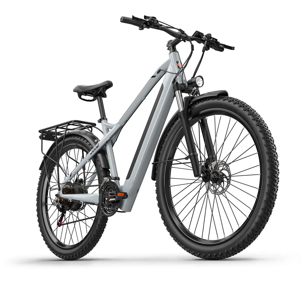 Adult Electric Bicycle 1000W motor 48V 16Ah Battery Dual Suspension  E-Bike 29*2.25 Tire Highway city ​​commuting Electric Bike image 3