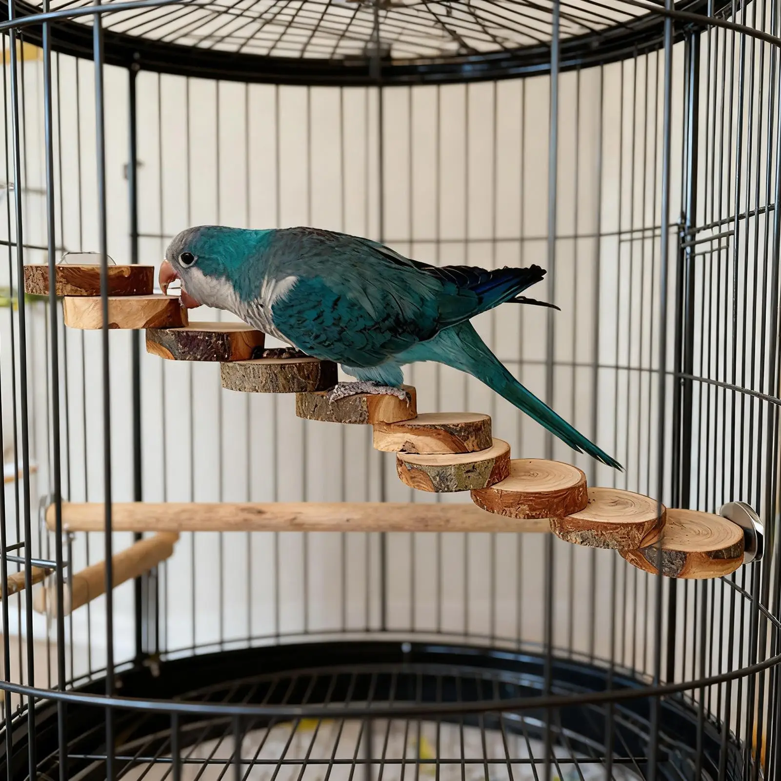 Juguete de Escalera para Pájaros, Puente de Percha para Loros, Periquitos, Ninfas y Pinzones, para el Tiempo en Solitario en Casa, Prevención del Aburrimiento y Estimulación Mental