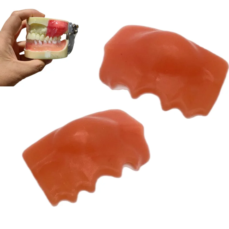 

2pcs Dental Abscess Practice Model Incision Drainage Suture Training Pus Removal Teaching Display Dental Oral Practice Model