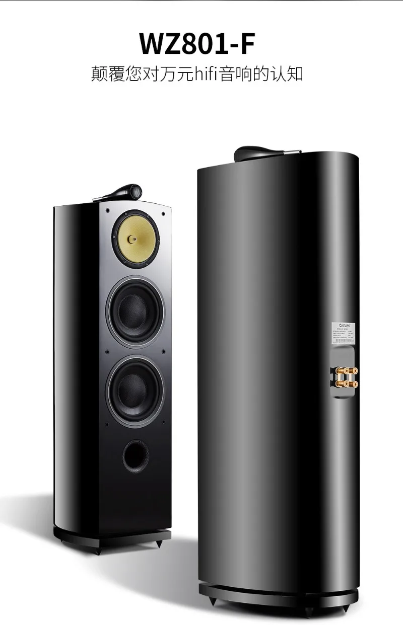 801 Dual 8 Inch Woofer HiFi 3 Way Floorstanding Passive Speaker Nautilus Design High End Home