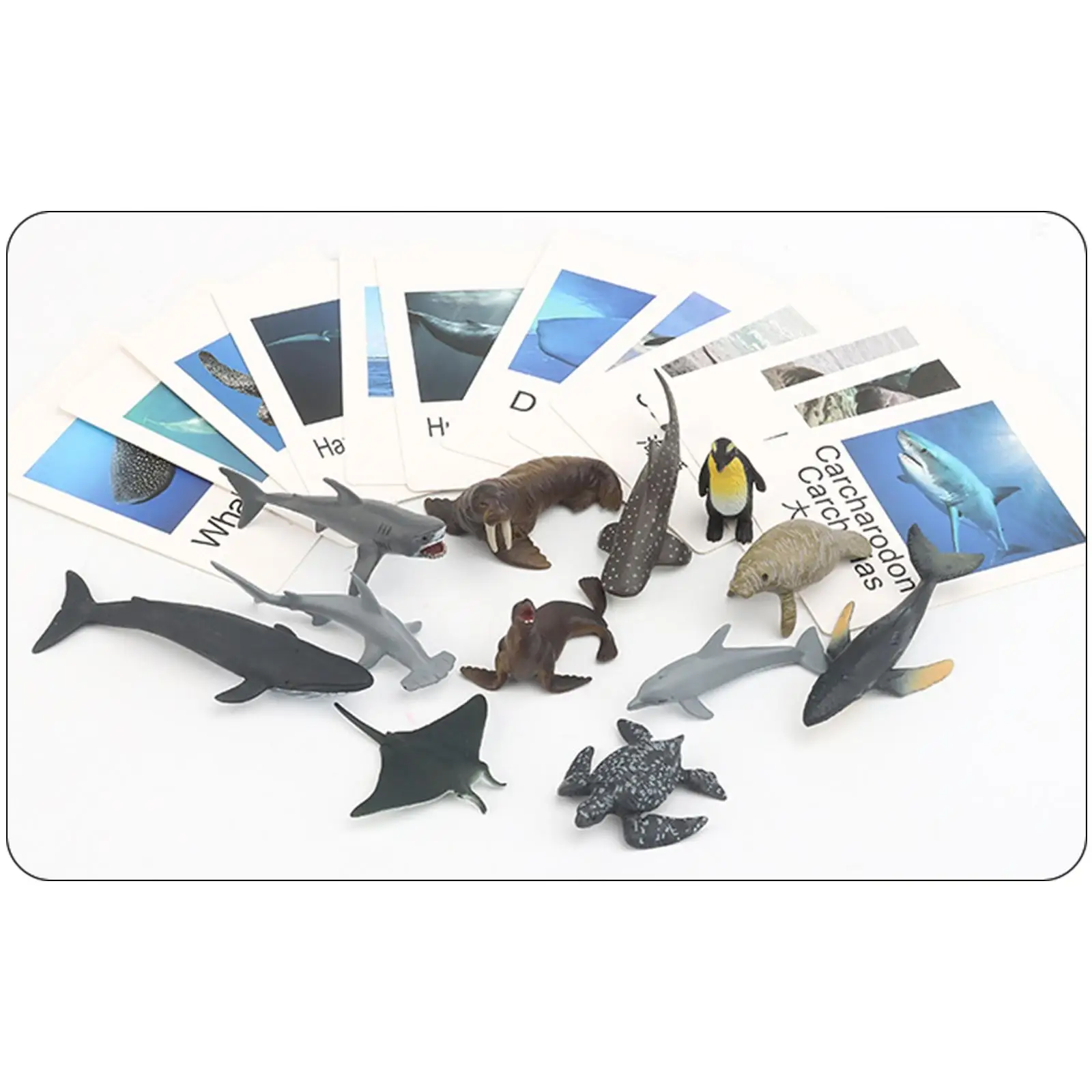 12pcs Realistic Zoo Animal Figures Cards Matching Game Cognitive Toys for Kids Montessori Learning Educational Preschool Science
