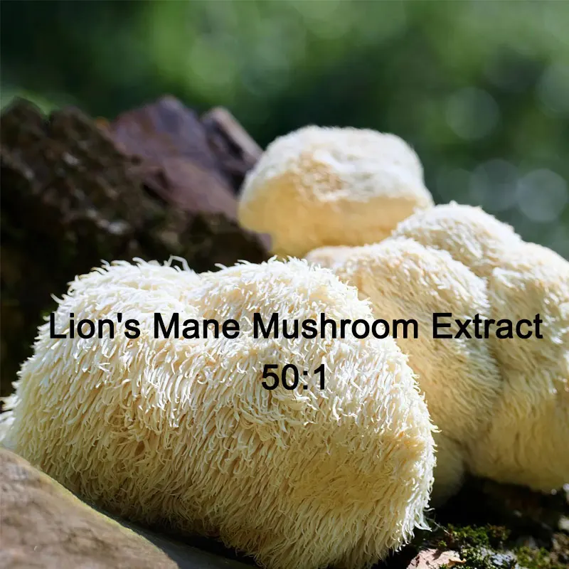 

Customized Proportion Lion's Mane Mushroom Extract Powder 50:1 Bulk Hericium Erinaceus Out Packing Kraft Paper Bag