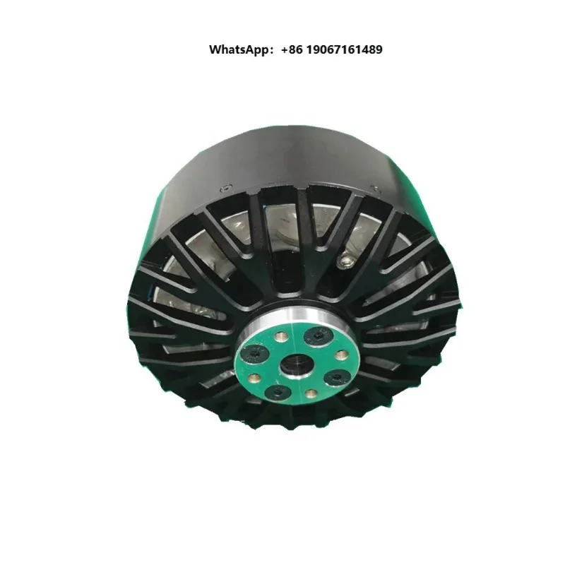 Outrunner 48v 70nm 72v 45kw 20kw Electric Car Boat Brushless Dc Motor DZW