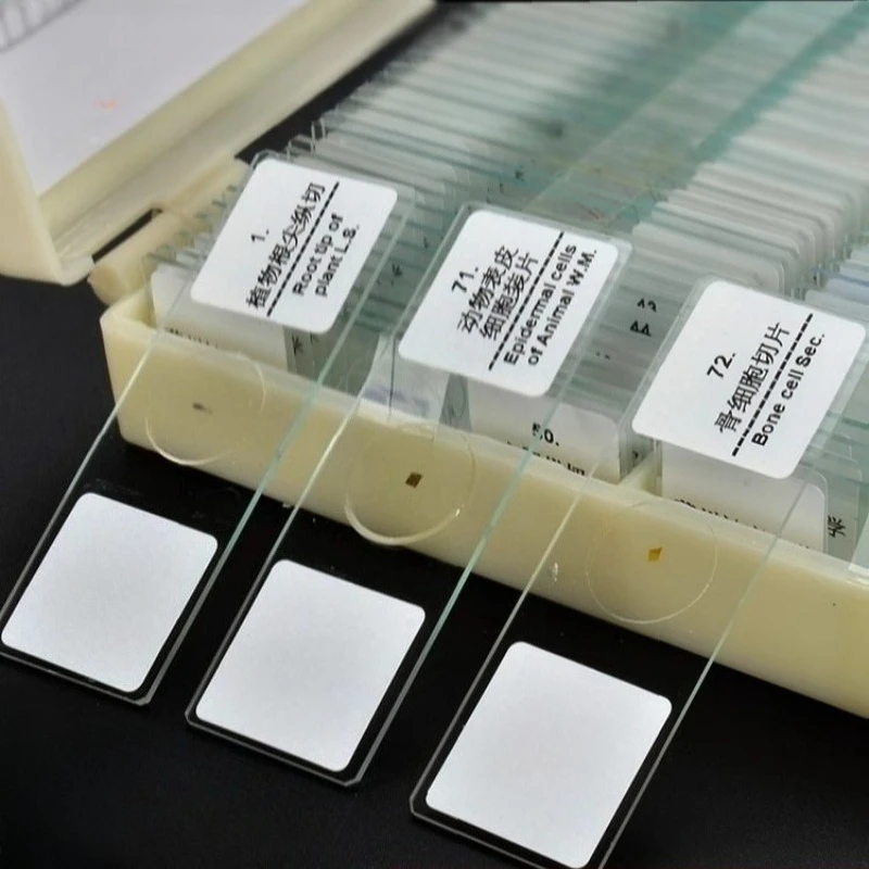 Glass Slides Prepared Microscope Slides with Shockproof Box for Kids' Science Experiments Biological Microscope
