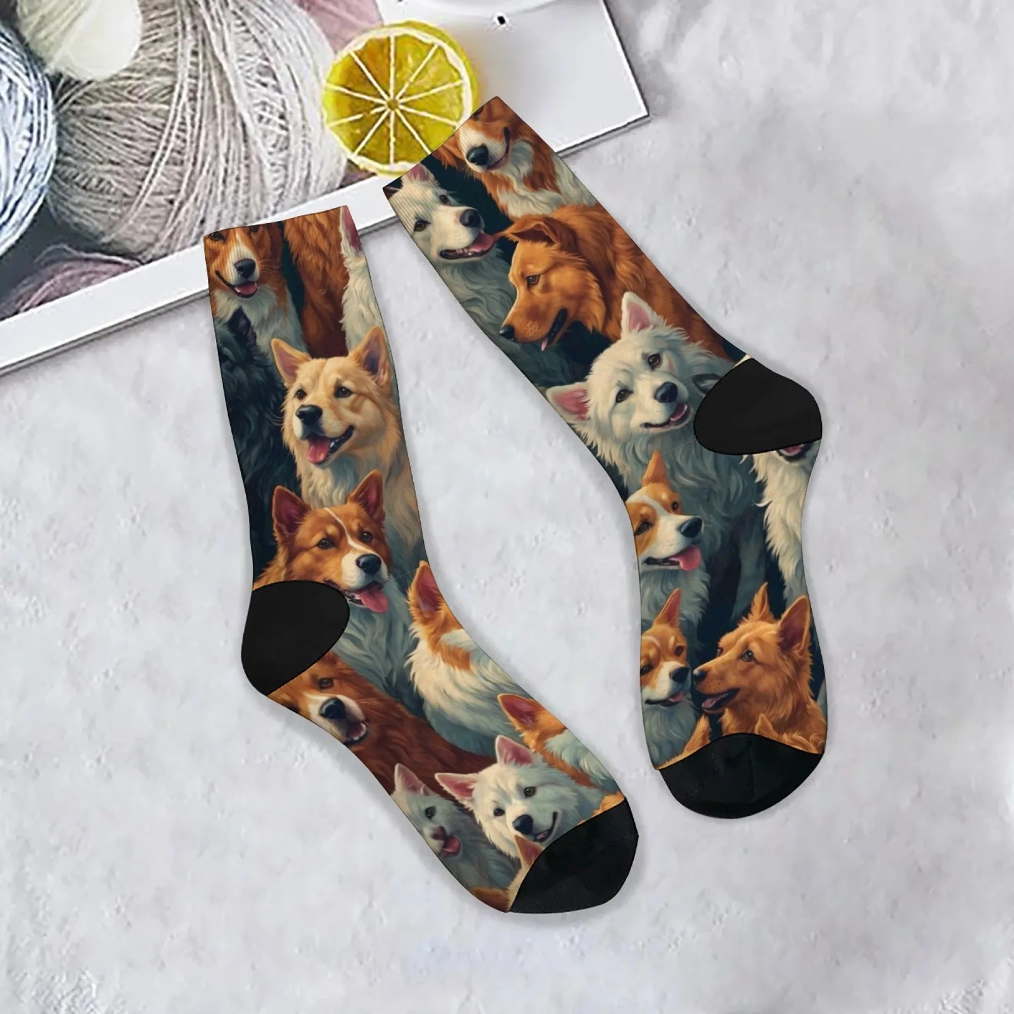 Pet dog theme print men's socks cute dog element accessories novelty Harajuku trend street hip-hop compression socks party gift