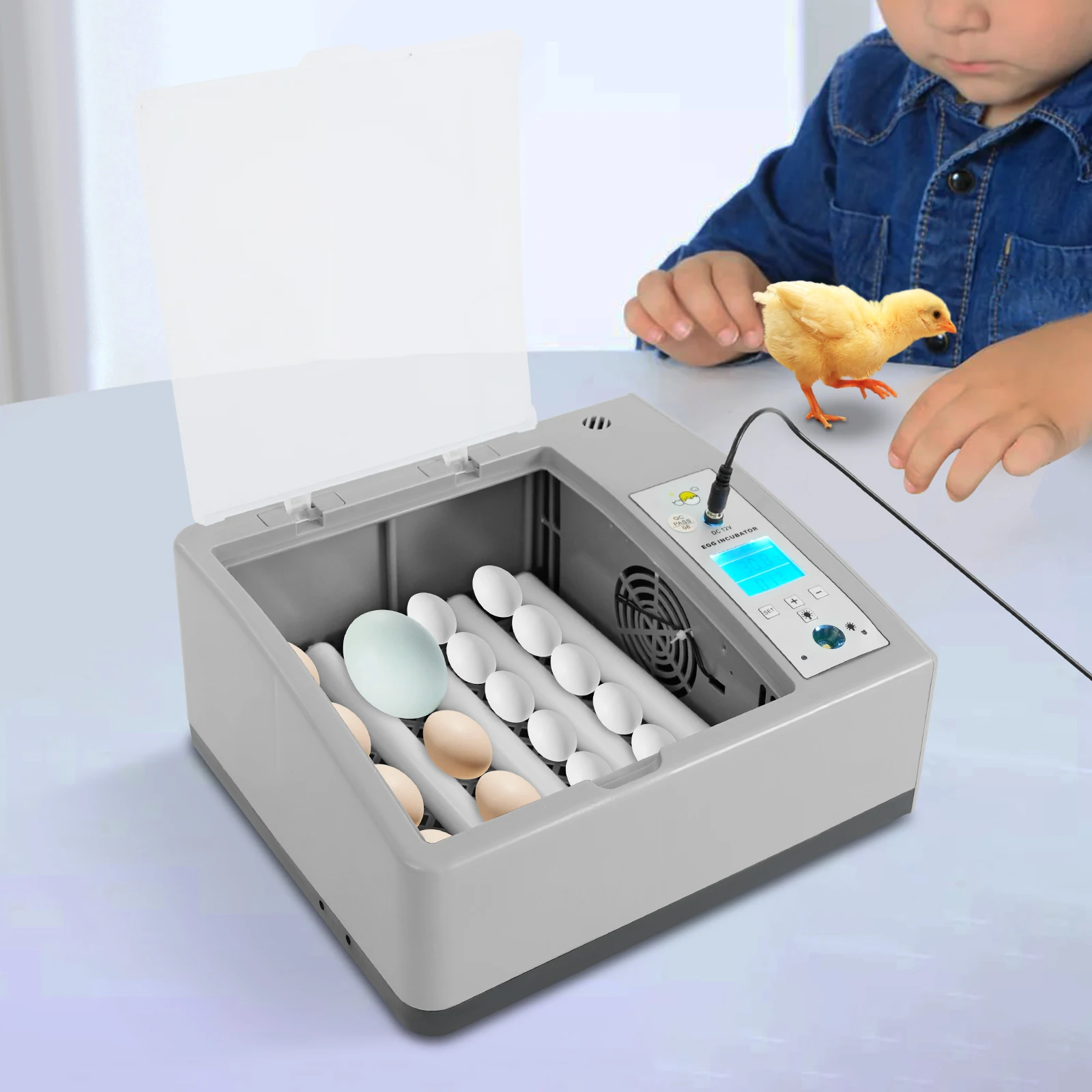 

Fully Automatic Digital Household Egg Incubator Machine Intuitive LCD Display, 110V/12V 16-Egg Incubator for Small Farms, Homes