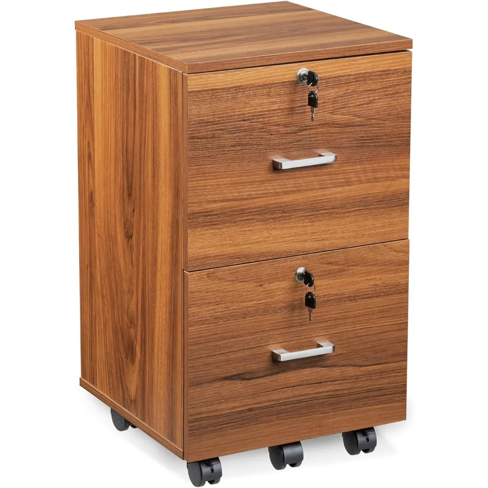 2 Drawer File Cabinet with Lock,Cabinet for Letter Size File Folders with Tabs, Under Desk Rolling File Cabinets for Home Office