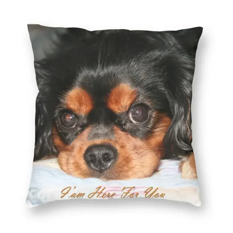 The Cavalier King Charles Spaniel Puppy Cushion Covers Sofa Living Room Animal Dog Square Throw Pillow Cover 40x40