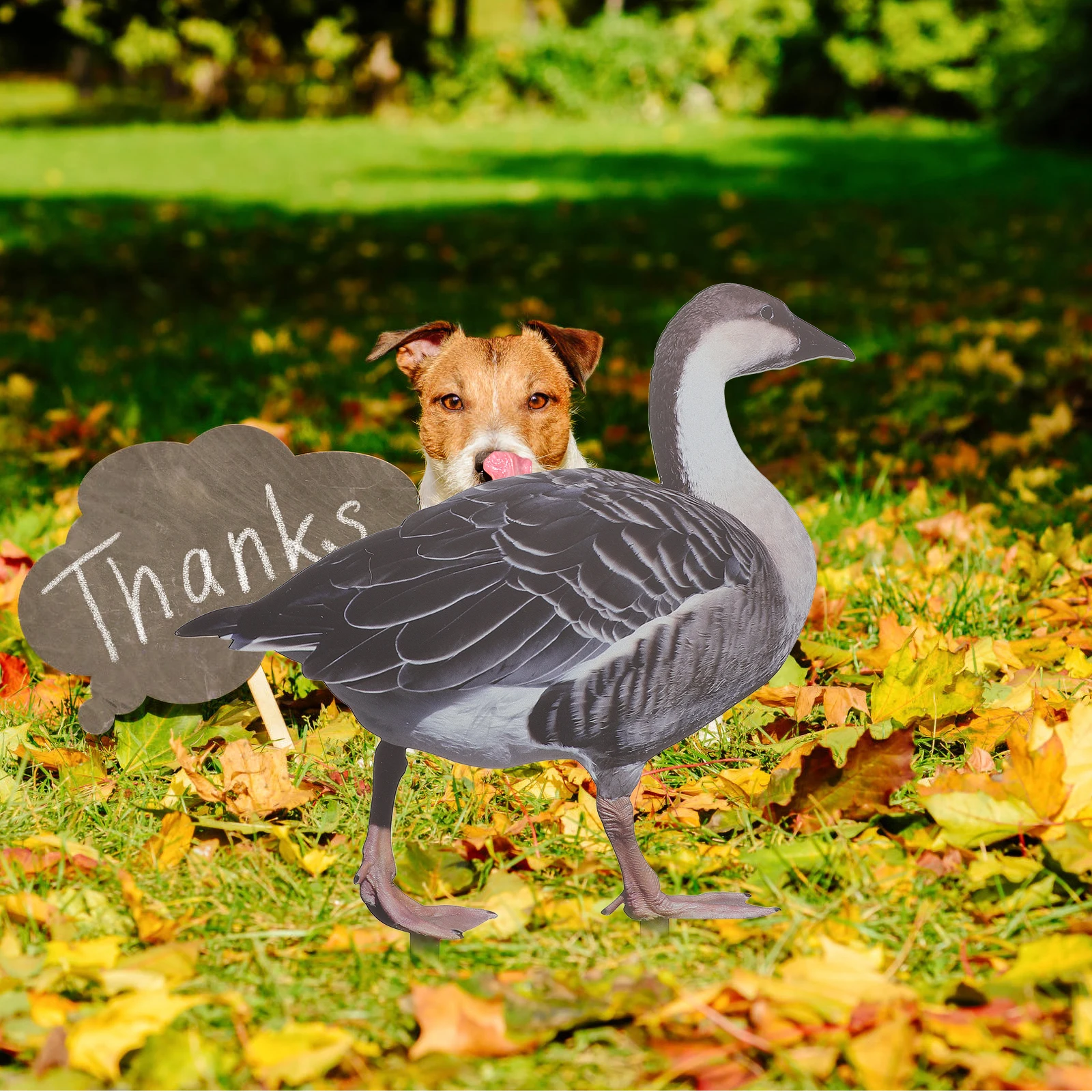 

Affordable Garden Ornament Rooster Stake Wood Pile Decoration Choice Animal Acrylic Decorative Stakes Park