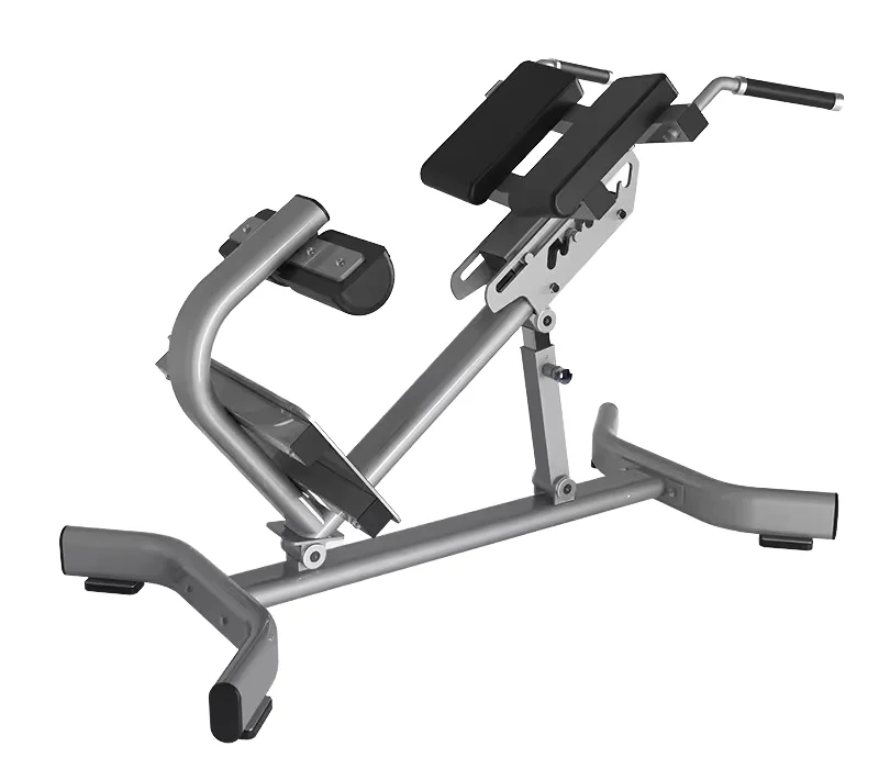 Pin Loaded Roman Chair Back Extension Hyper Extension Multifunctional Steel Commercial Home Gym Equipment