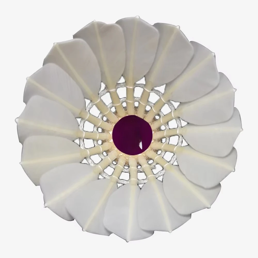 

Super Quality All Round Badminton Shuttlecock for International Tournament