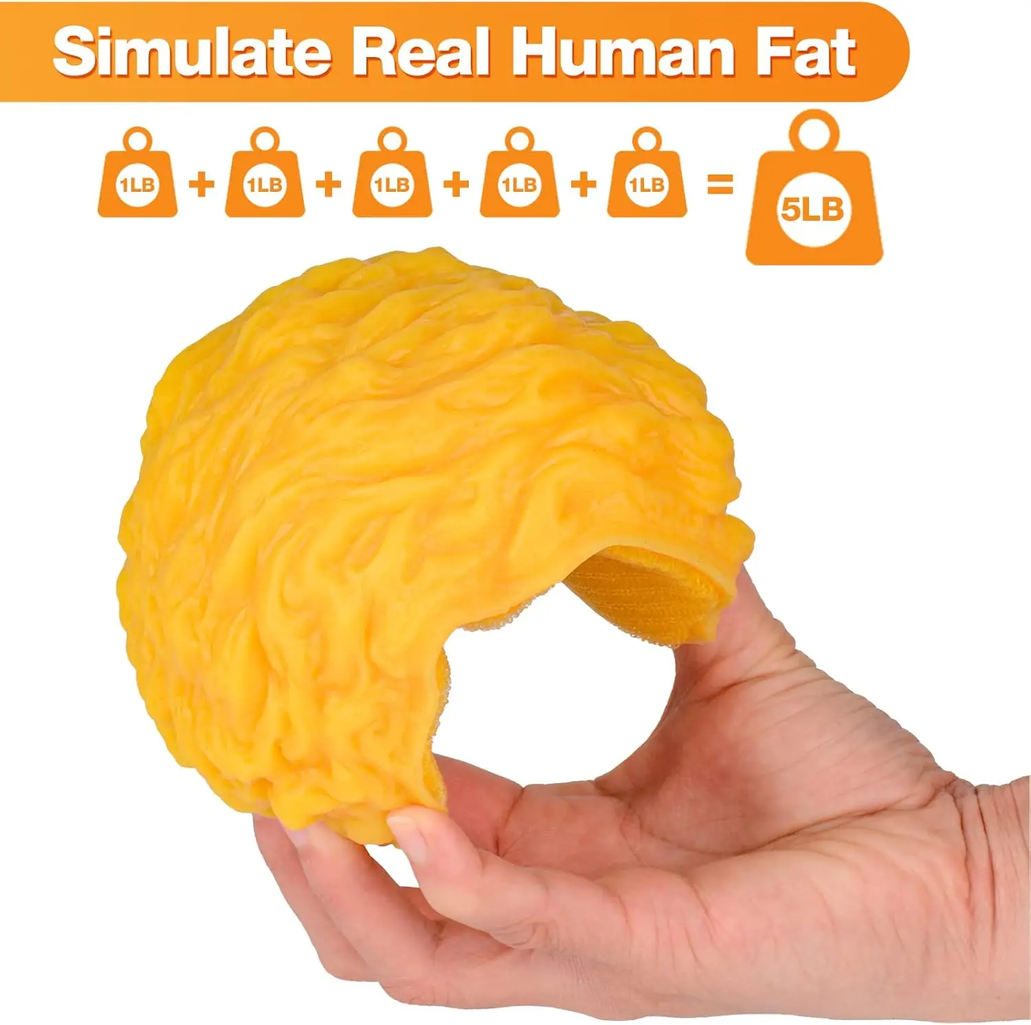 Wearable Human Body Fat Replica Model 5 Lb with Belt Silicone Keep Fit & Weight Loss Motivation for Nutritionist Demonstration