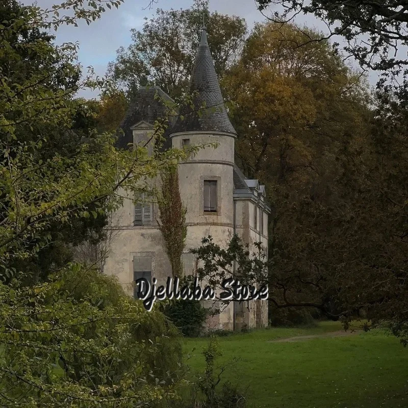 فساتين لحضور الحفلات الموسيقية بيضاء بكتف واحد وأكمام طويلة مخصصة من الأورجانزا فيستدوس دي نوش بطول الأرض على شكل حرف a للسهرات الرسمية 2025 #3