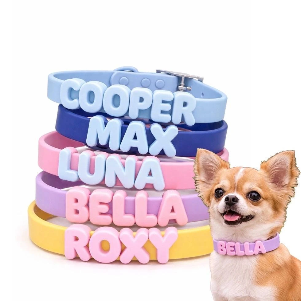 Collier pour chien en silicone personnalisé avec lettres, collier d'identification pour animaux de compagnie, collier imperméable anti-perte avec nom de chiot pour petits et moyens chiens