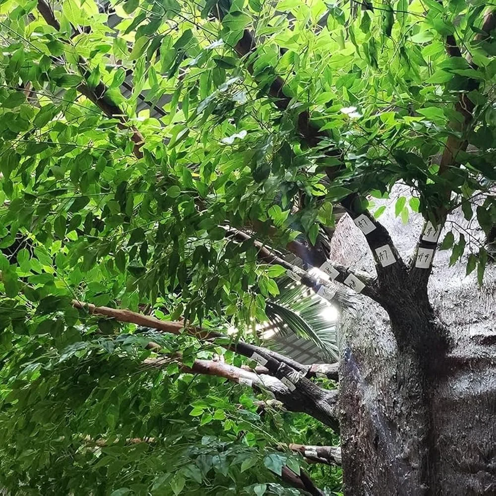 شجرة بانيان صناعية كبيرة للاستخدام الداخلي/الخارجي للمنزل والفنادق والمساحات البيع بالتجزئة