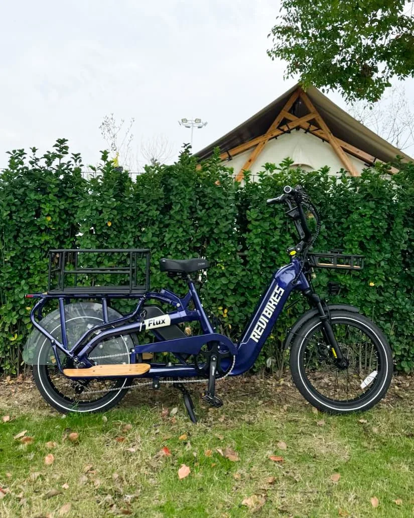 

STLF 2025 HOT Selling OEM Long Tail Cargo Ebike Wholesale Dual Batteries Alloy Electric Cargo Bikes Bicycle Two Wheeled Cargo Eb